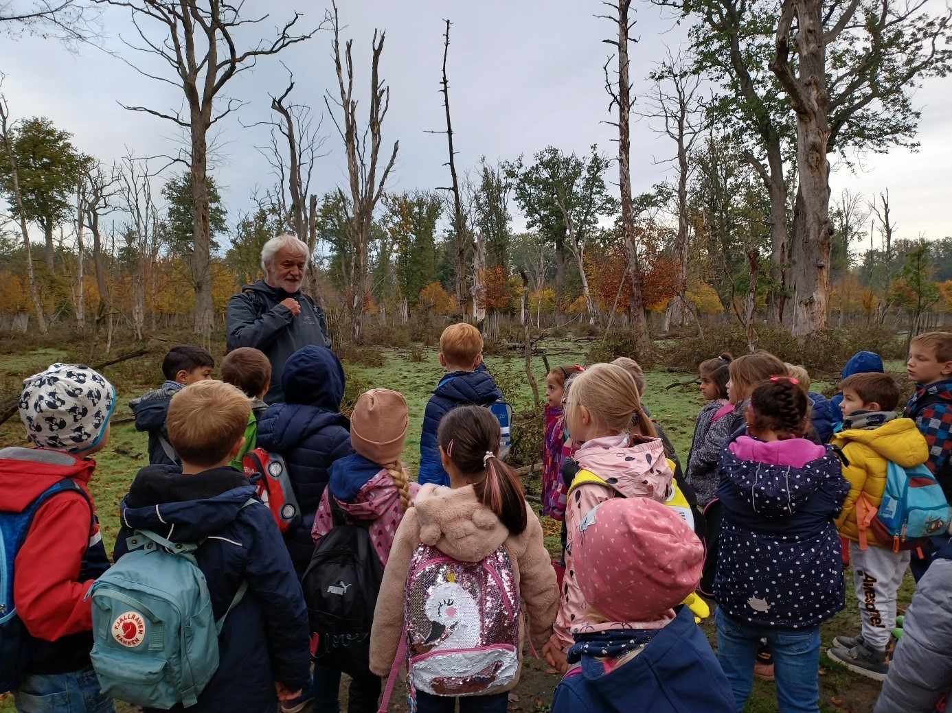 Kinder der Löwenklasse im Hutewald